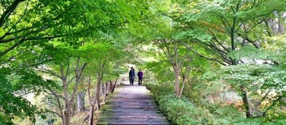 更年期と自律神経