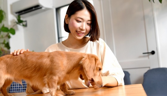 自律神経の乱れとリラックス